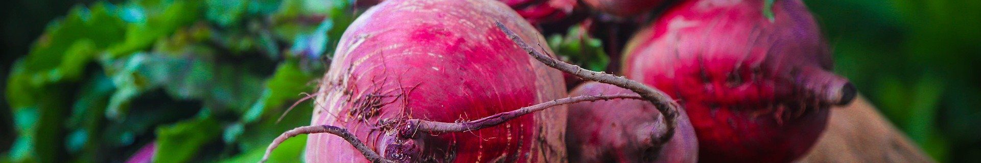 beetroot